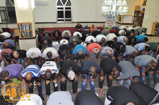 traw7 jabalayaua (10).JPG